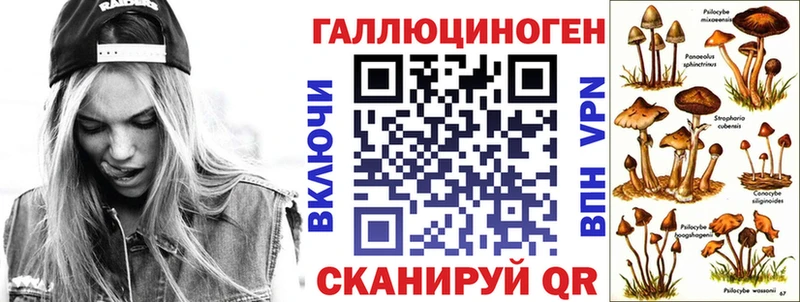 Псилоцибиновые грибы GOLDEN TEACHER  Шали 