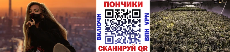 kraken ССЫЛКА  Шали  Каннабис LSD WEED  где найти наркотики 